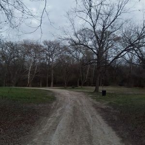 Meet your Posher, Gracie